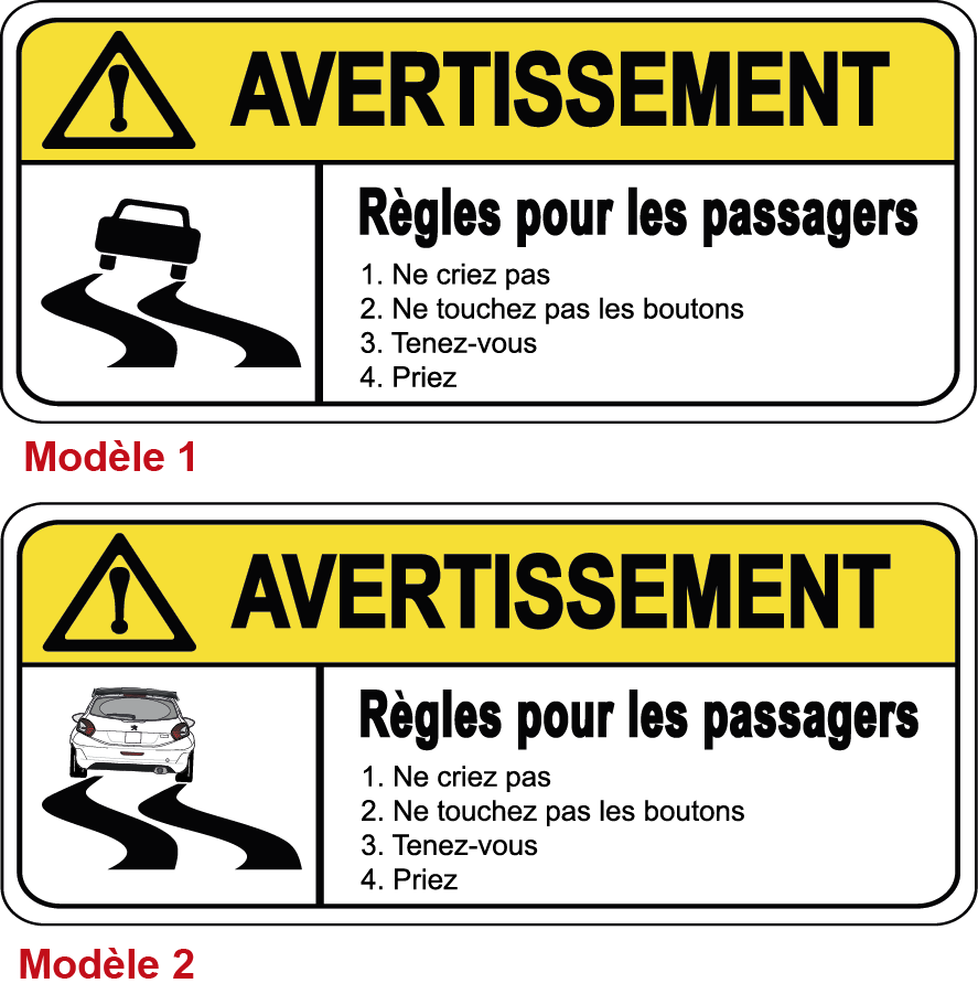 Autocollant pour ski Modèle 1