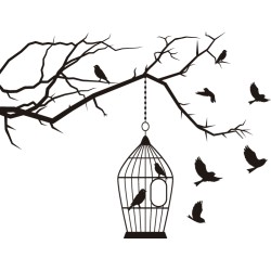 Cage à oiseaux 1